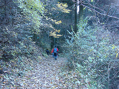 20081130_t274_thumb.jpg