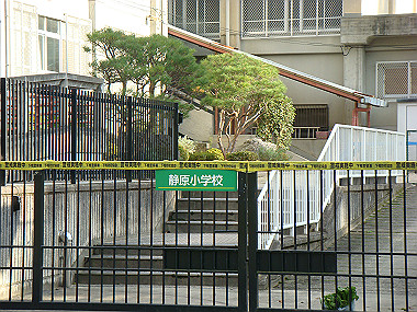 20081130_t278_thumb.jpg