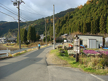 20081130_t280_thumb.jpg