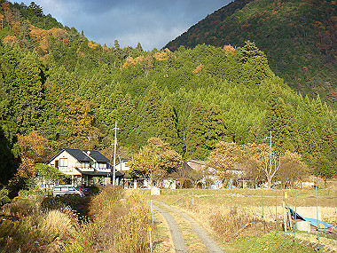 20081130_t286_thumb.jpg