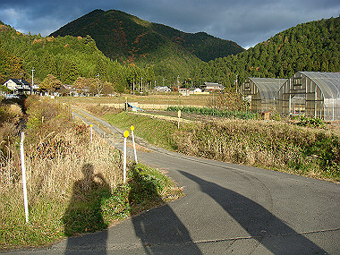 20081130_t287_thumb.jpg