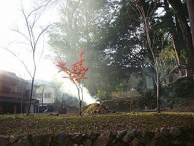 20081130_t290_thumb.jpg
