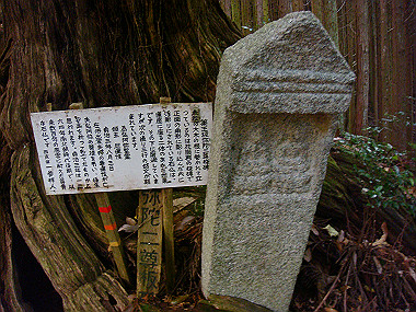 20081130_t308_thumb.jpg