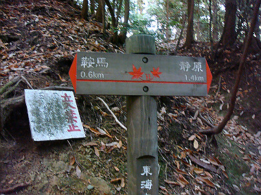 20081130_t311_thumb.jpg