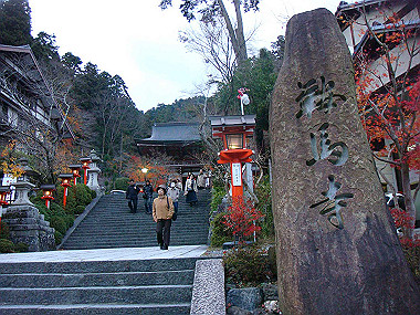 20081130_t320_thumb.jpg