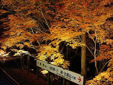 20081130_t337_thumb.jpg