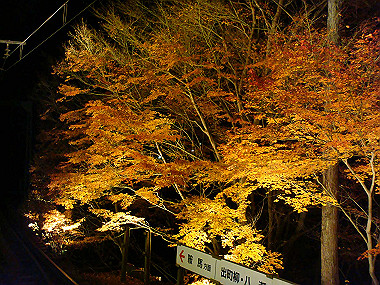 20081130_t338_thumb.jpg