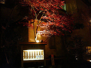 20081130_t341_thumb.jpg