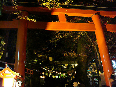 20081130_t344_thumb.jpg