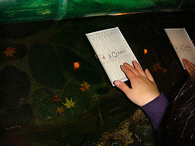 20081130_t354_thumb.jpg