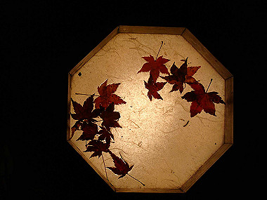 20081130_t358_thumb.jpg