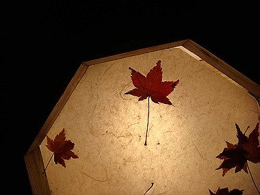 20081130_t359_thumb.jpg