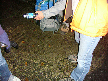 20081130_t365_thumb.jpg