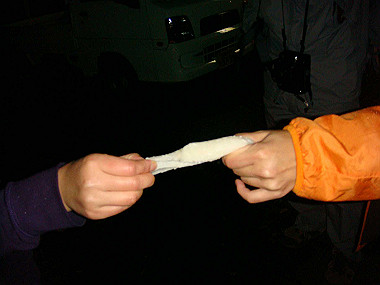 20081130_t366_thumb.jpg