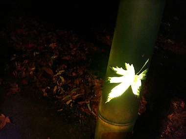 20081130_t370_thumb.jpg