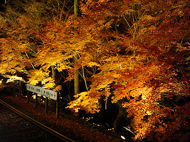 20081130_t372_thumb.jpg