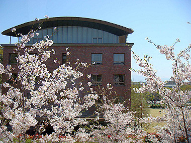 20090409_dsc06797_thumb.jpg