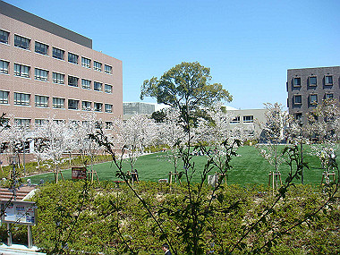 20090409_dsc06826_thumb.jpg