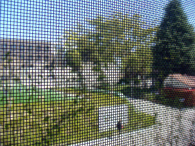 20090409_dsc06827_thumb.jpg