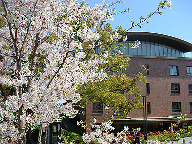 20090409_dsc06828_thumb.jpg