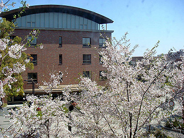 20090409_dsc06847_thumb.jpg