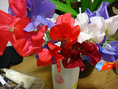 20090510_dsc06849_thumb.jpg