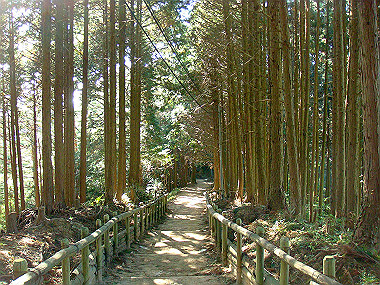 20091023_dsc00079_thumb.jpg
