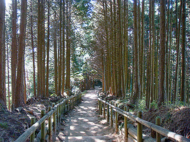 20091023_dsc00081_thumb.jpg
