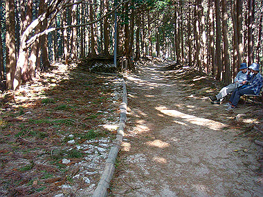 20091023_dsc00084_thumb.jpg