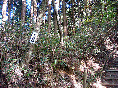 20091023_dsc00088_thumb.jpg