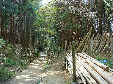 20091023_dsc00091_thumb.jpg