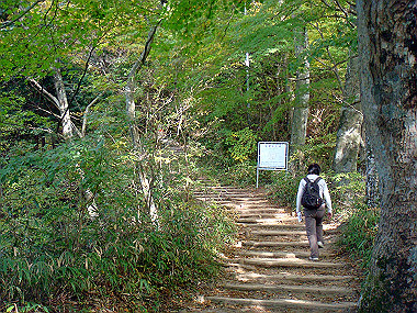 20091023_dsc00096_thumb.jpg