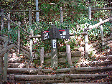 20091023_dsc00098_thumb.jpg