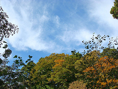 20091023_dsc00108_thumb.jpg
