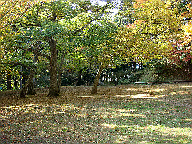 20091023_dsc00109_thumb.jpg