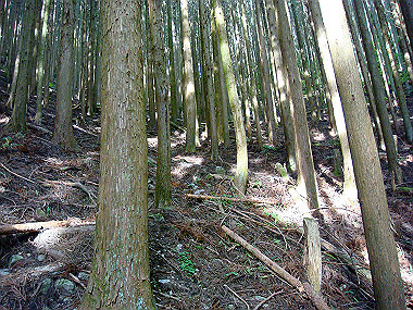 20091023_dsc00116_thumb.jpg