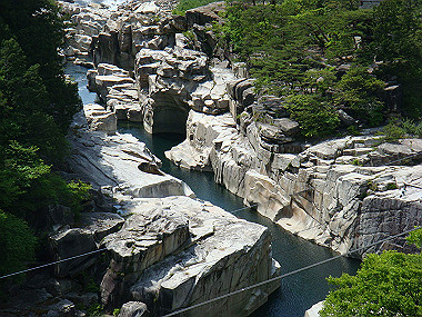 20090515_dsc06857_thumb.jpg