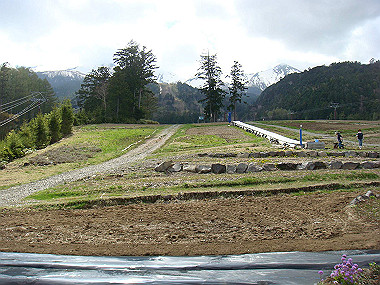 20090515_dsc06864_thumb.jpg