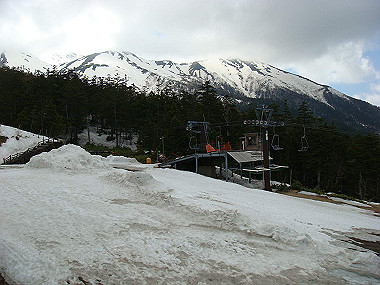 20090515_dsc06873_thumb.jpg