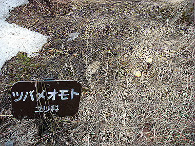 20090515_dsc06888_thumb.jpg