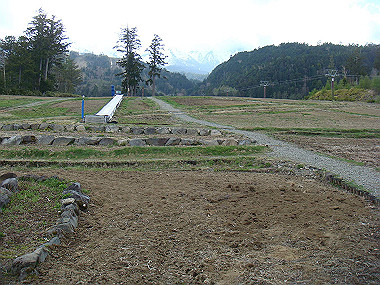 20090515_dsc06897_thumb.jpg