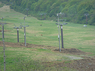 20090516_dsc06899_thumb.jpg
