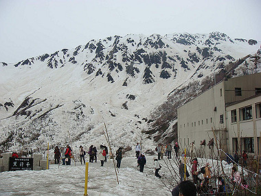 20090516_dsc06969_thumb.jpg