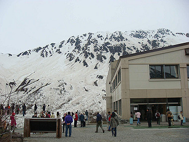 20090516_dsc06976_thumb.jpg