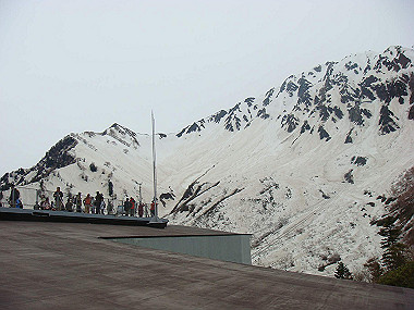 20090516_dsc06979_thumb.jpg