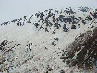 20090516_dsc06981_thumb.jpg