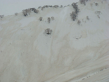 20090516_dsc06996_thumb.jpg