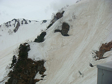 20090516_dsc06998_thumb.jpg