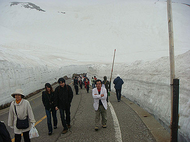 20090516_dsc07017_thumb.jpg