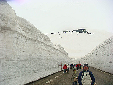 20090516_dsc07025_thumb.jpg